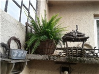 8a1fd3b9-2016-10-09 09.35.34.jpg